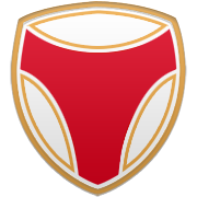 덴버 너기츠 엠블럼